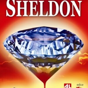 Mistrovská hra (Sidney Sheldon) (česky)