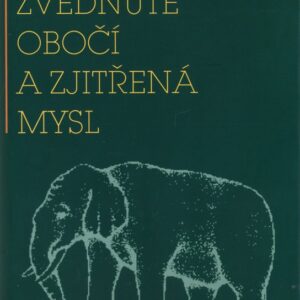 Zvednuté obočí a zjitřená mysl (Ivan Havel) (česky)