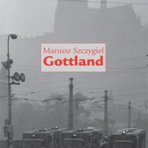 Gottland (Mariusz Szczygieł) (česky)
