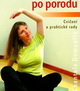 Ve formě po porodu (Chantale Dumoulin) (česky)
