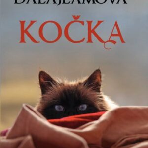 Dalajlamova kočka (David Michie) (česky)