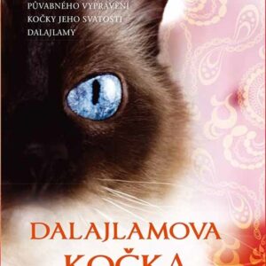 Dalajlamova kočka a umění příst (David Michie) (česky)