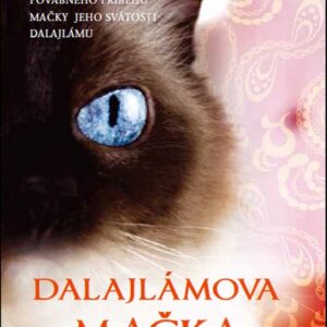 Dalajlámova mačka a umenie priasť (David Michie)