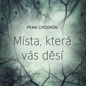 Místa, která vás děsí (Pema Chödrönová) (česky)