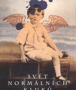 Svět normálních kluků (Soehnlein K. M.) (česky)