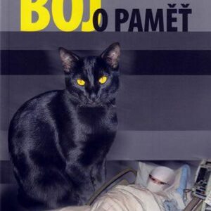Boj o paměť (Emily Carmichael)