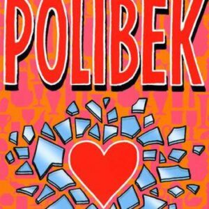 Polibek (Jacqueline Wilson) (česky)
