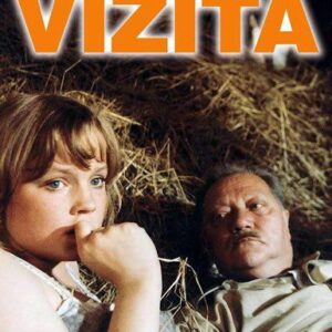 Vizita (Adolf Branald) (česky)