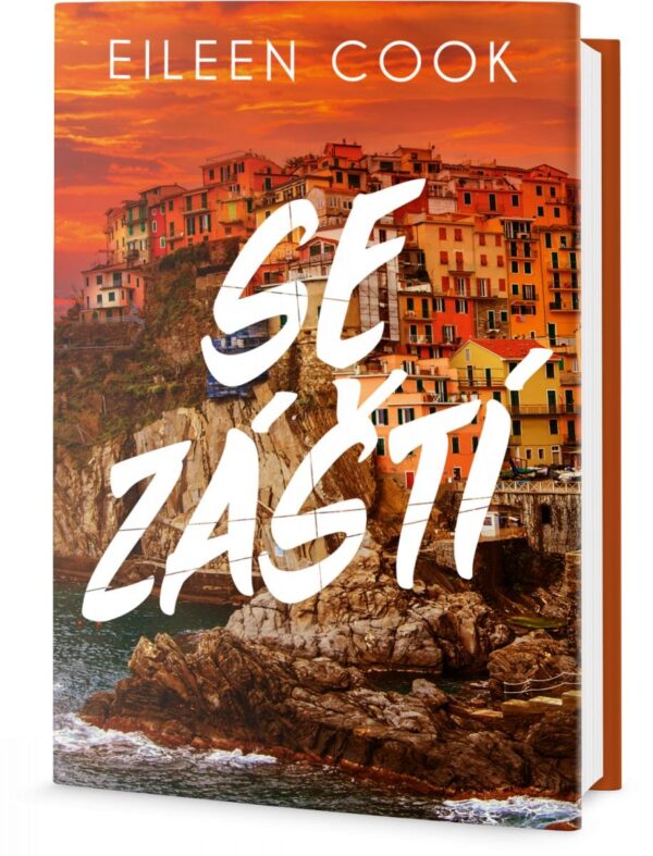 Se záští (Eileen Cook) (česky)