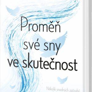 Proměň své sny ve skutečnost (Gini Graham Scott) (česky)
