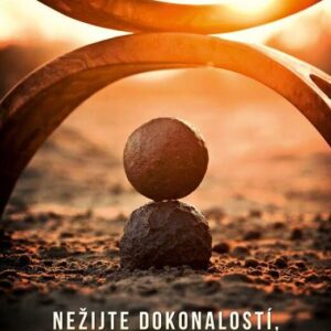 Nežijte dokonalostí, žijte přítomností (Niequist Shauna) (česky)