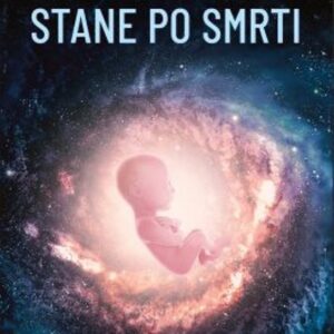 Co se skutečně stane po smrti (Andrew McLauchlin) (česky)