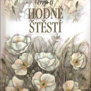 Přeji ti hodně štěstí (Helen Exley) (česky)