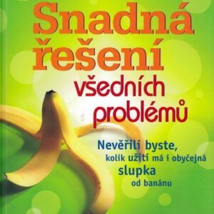Snadná řešení všedních problémů (Stephen Brewer) (česky)
