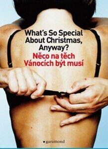 Něco na těch Vánocích být musí (Michal Viewegh) (česky)