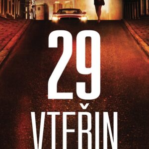 29 vteřin (T. M. Logan) (česky)