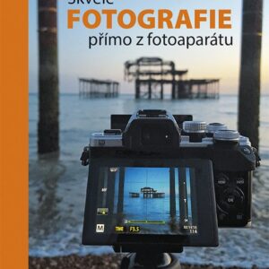 Skvělé fotografie přímo z fotoaparátu (Laing Gordon) (česky)