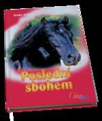 Diablo - Poslední sbohem (Gabi Adam) (česky)
