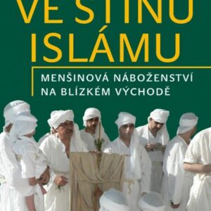 Ve stínu islámu (Jiří Gebelt) (česky)