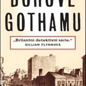 Bohové Gothamu (Faye Lyndsay) (česky)