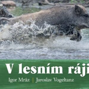 V lesním ráji (Igor Mráz) (česky)