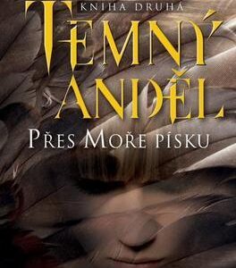 Temný anděl (Meredith Ann Pierceová) (česky)