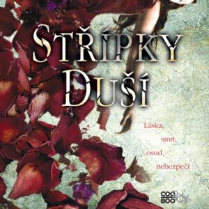 Střípky duší (Mary Lindseyová) (česky)