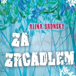 Za zrcadlem (Alina Bronsky) (česky)