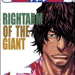 Rightarm of the Giant - Tite Kubo (Kubo Tite) (česky)