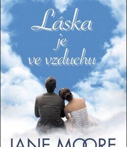 Láska je ve vzduchu (Moore, Jane) (česky)