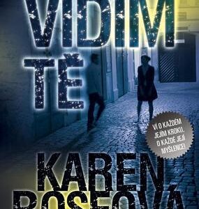 Vidím tě (Karen Rose) (česky)