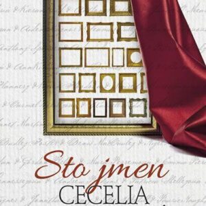 Sto jmen (Cecelia Ahern) (česky)