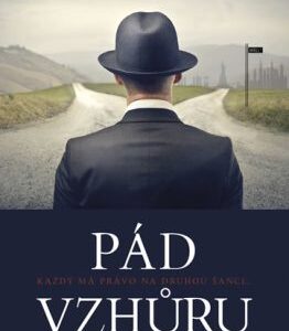 Pád vzhůru (Gary van Haas) (česky)