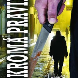 Soukromá pravidla (James Patterson) (česky)