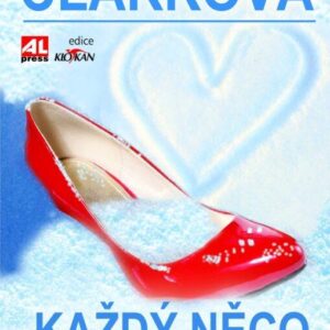 Každý něco skrývá (Mary Higgins Clark) (česky)