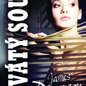 Devátý soud (James Patterson) (česky)