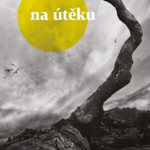 Na útěku (Jesús Carrasco) (česky)