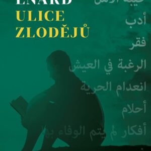 Ulice zlodějů (Mathias Enard) (česky)