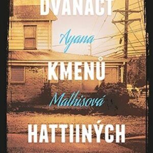 Dvanáct kmenů Hattiiných (Ayana Mathis) (česky)