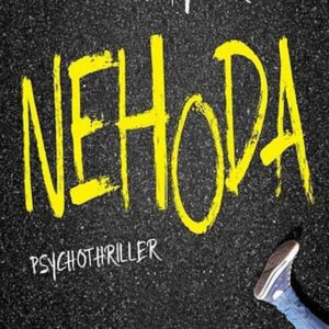 Nehoda (C. L. Taylor) (česky)