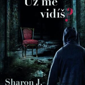 Už mě vidíš? (Sharon J. Bolton) (česky)