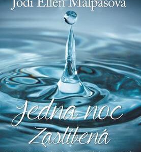 Jedna noc (Jodi Ellen Malpasová) (česky)