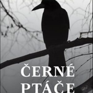 Černé ptáče (Joanna Siedlecka) (česky)