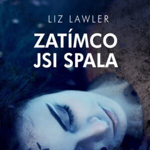 Zatímco jsi spala (Liz Lawler) (česky)