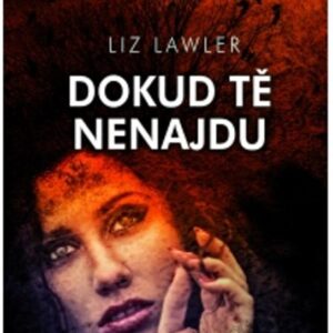 Dokud tě nenajdu (Liz Lawler) (česky)
