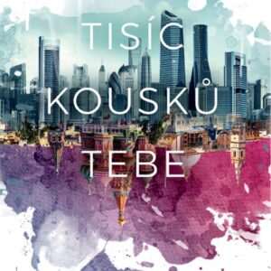 Tisíc kousků tebe (Claudia Gray) (česky)