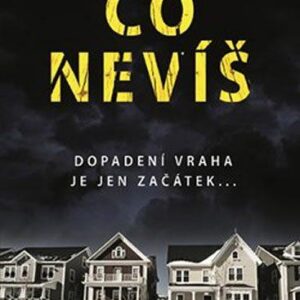 Co nevíš - JoAnn Chaneyová (Chaneyová JoAnn) (česky)