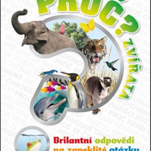 Proč? (Ivana Rybecká) (česky)