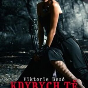 Kdybych tě nepotkal (Viktorie Besó) (česky)