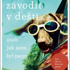 Tekutý písek (Garth Stein) (česky)